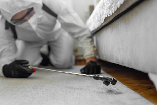 Professional Bed Bug Control technician working in Mechanicstown, NY