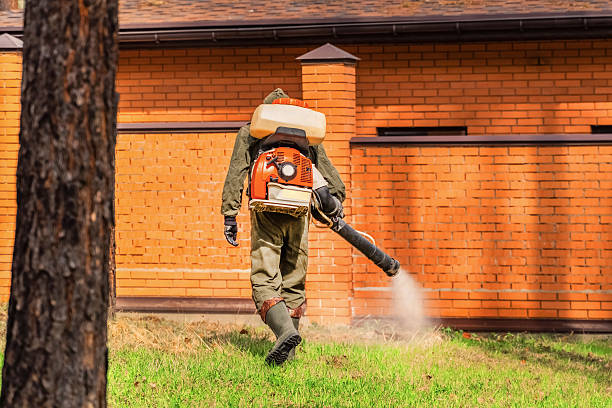 Trusted Termite Control service in Mechanicstown, NY - Nex Pest Control